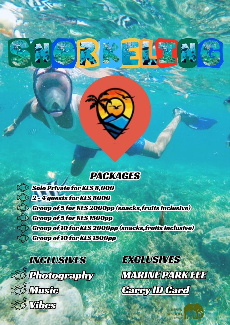 Snorkeling package poster